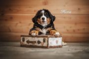Hera-web1659696018583