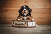 Hera-web1659696018583