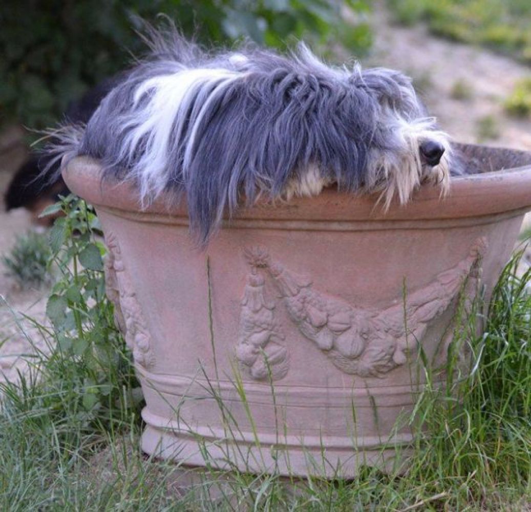 Baz20150605