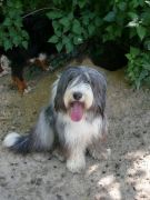 Baz3