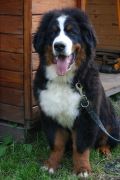 Monty1