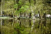 web00420160601